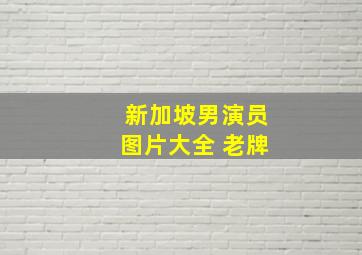 新加坡男演员图片大全 老牌